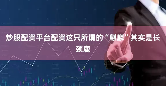 炒股配资平台配资这只所谓的“麒麟”其实是长颈鹿