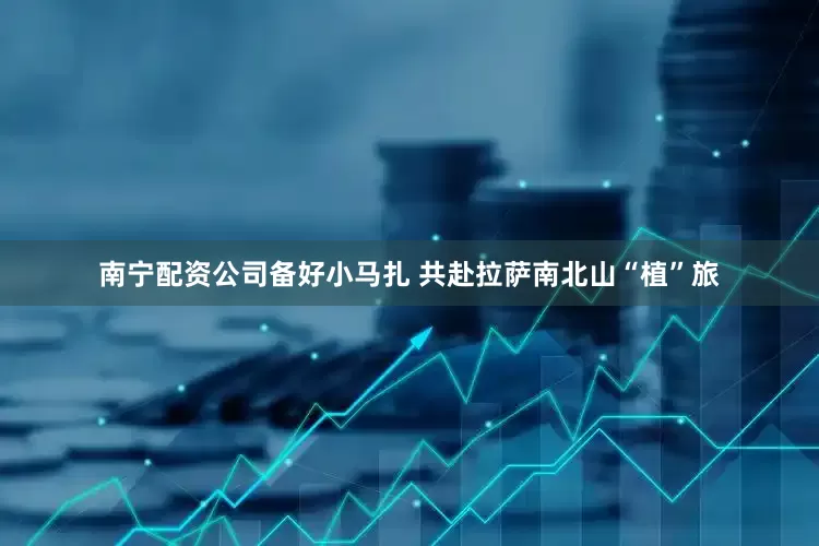 南宁配资公司备好小马扎 共赴拉萨南北山“植”旅