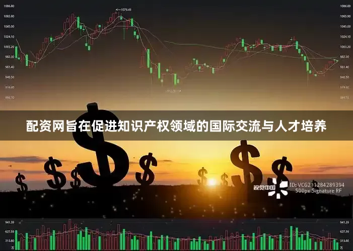 配资网旨在促进知识产权领域的国际交流与人才培养