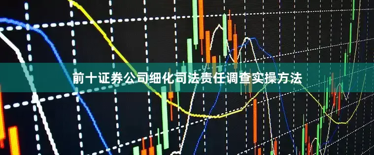 前十证券公司细化司法责任调查实操方法